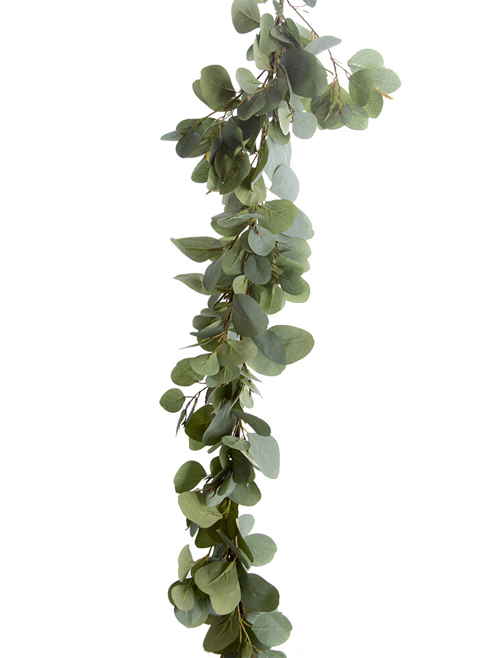5&#39; OVAL LF EUCALYPTUS GARLAND