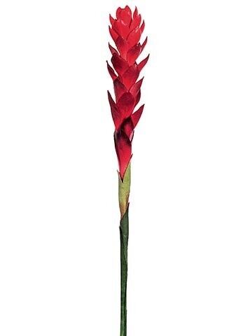 TORCH GINGER SPRAY 30&quot;