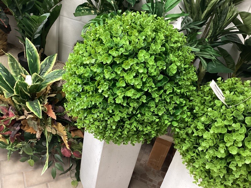 Large Eucalyptus Boxwood Ball -18”