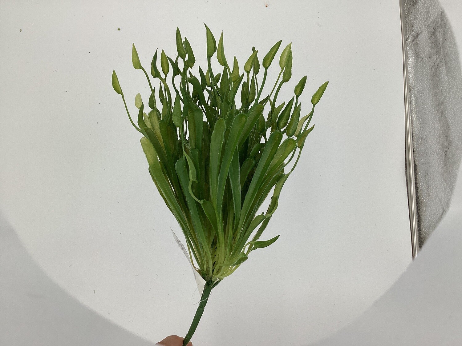 Grass Bush GG4625