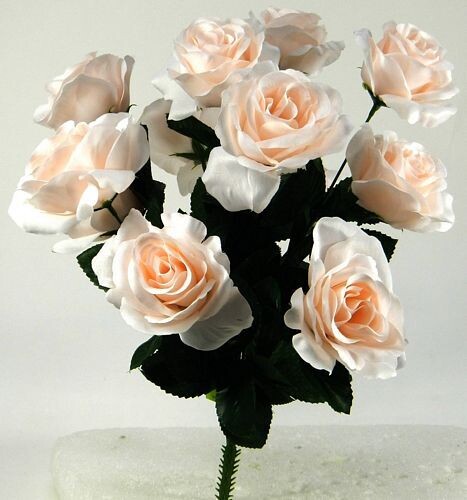Color Fast Lilian Open Rose - BLUSH