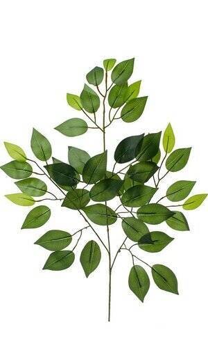 23&quot;DELuXE FICUS SPRAY X3 W/42LVS