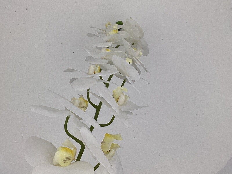 45&quot;PHALAENOPSIS ORCHID SPRAY
