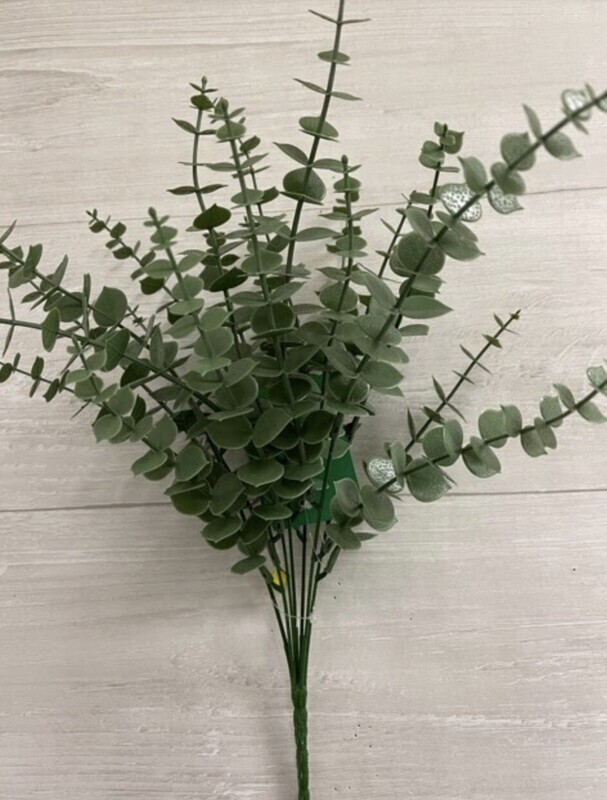 Boxwood VG small bush
