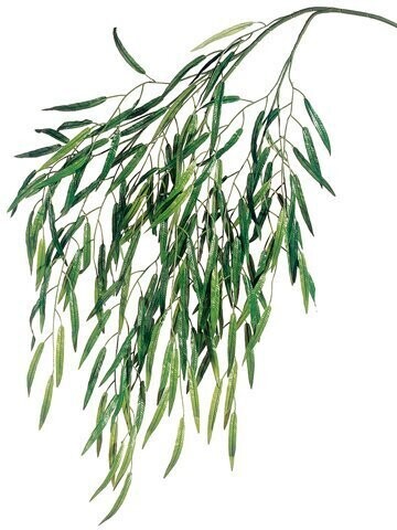 47&quot;WEEPING WILLOW SP.X3 164L