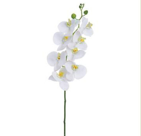 41&quot;PHALAENOPSIS SPRAY WH
