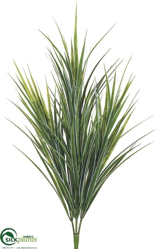 21&quot;DRACAENA BUSH GR/GY