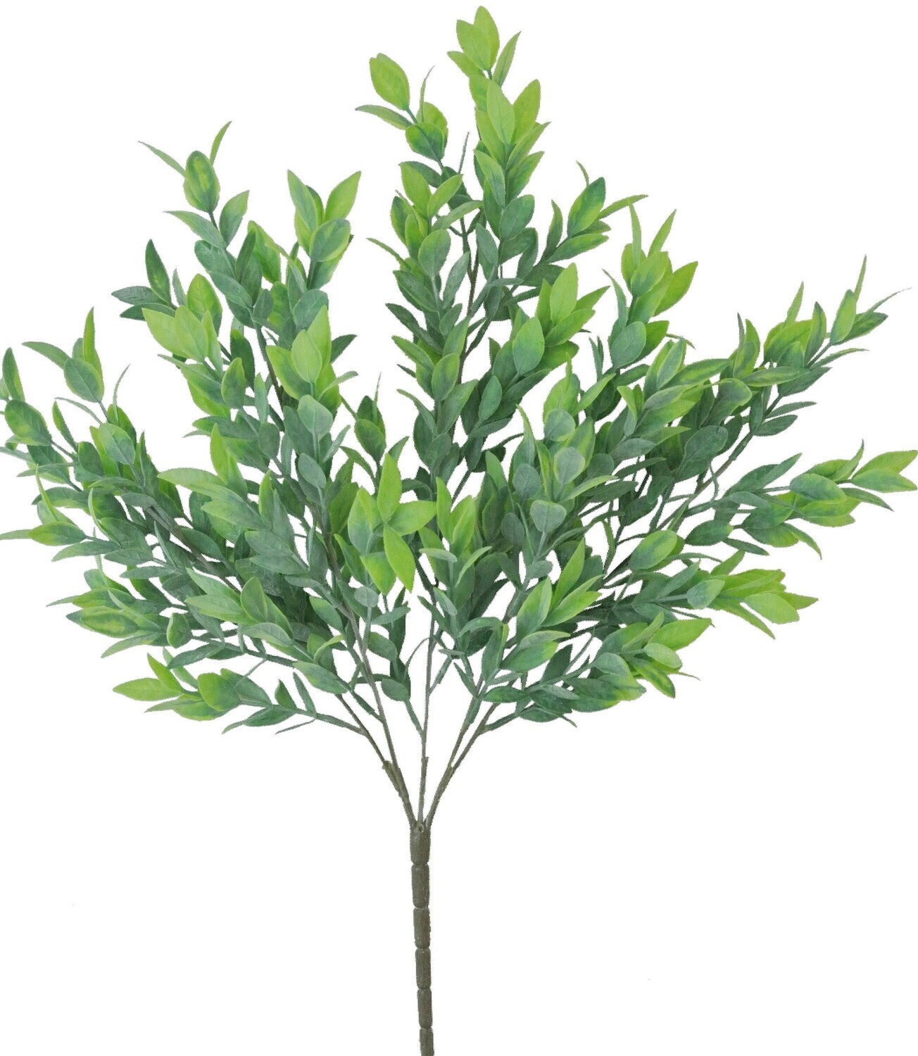 21IN Ruscus Bush x5