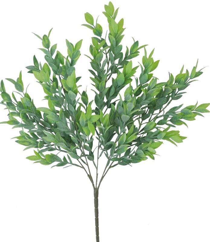 21IN Ruscus Bush x5