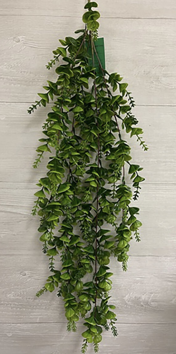 Eucalyptus Boxwood Hanging Bush x4