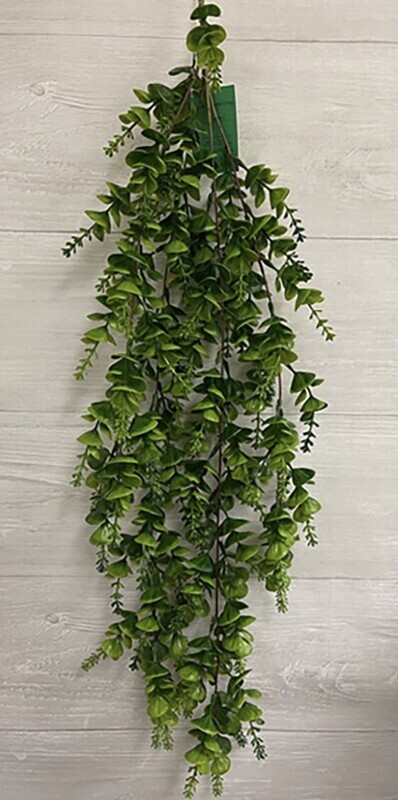 Eucalyptus Boxwood Hanging Bush x4