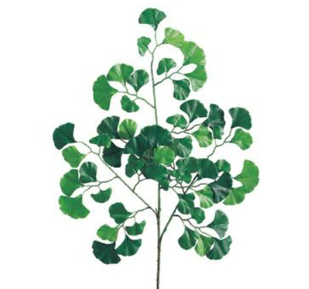 22&quot; GINGKO SPRAY X3 60 LEAVES