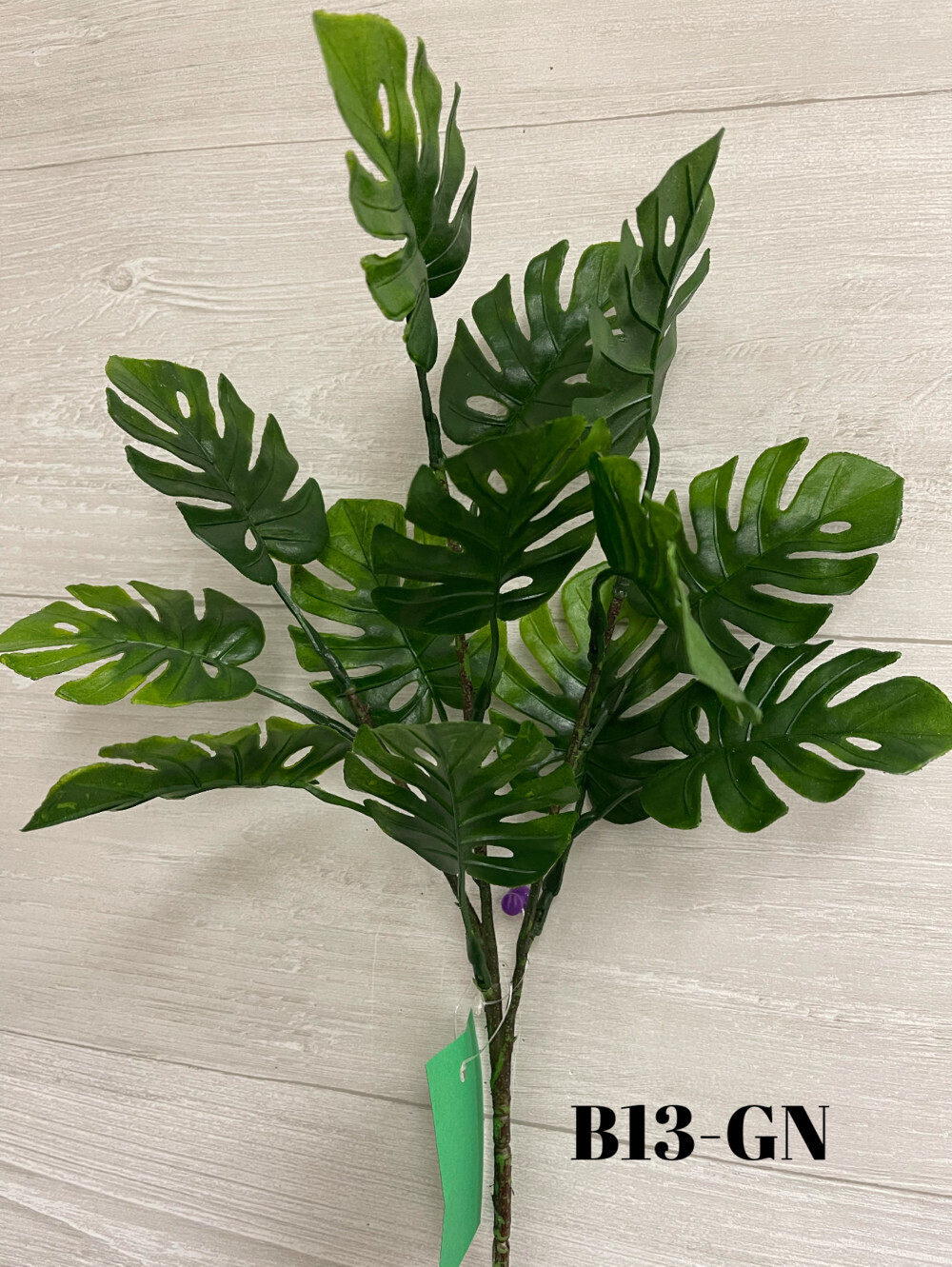 Split Philo Leaf Bush x 13 GN