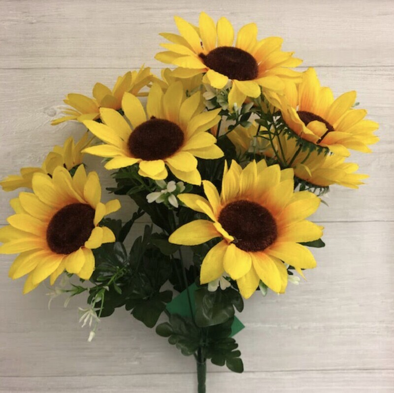 Sunflower bush x12