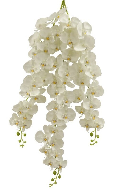 Orchid Bush x3