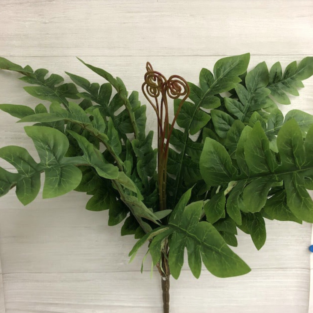 Fern Bush A1801