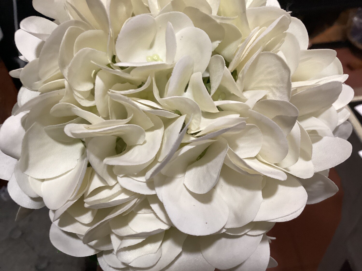 19” Fresh Touch Hydrangea - CR