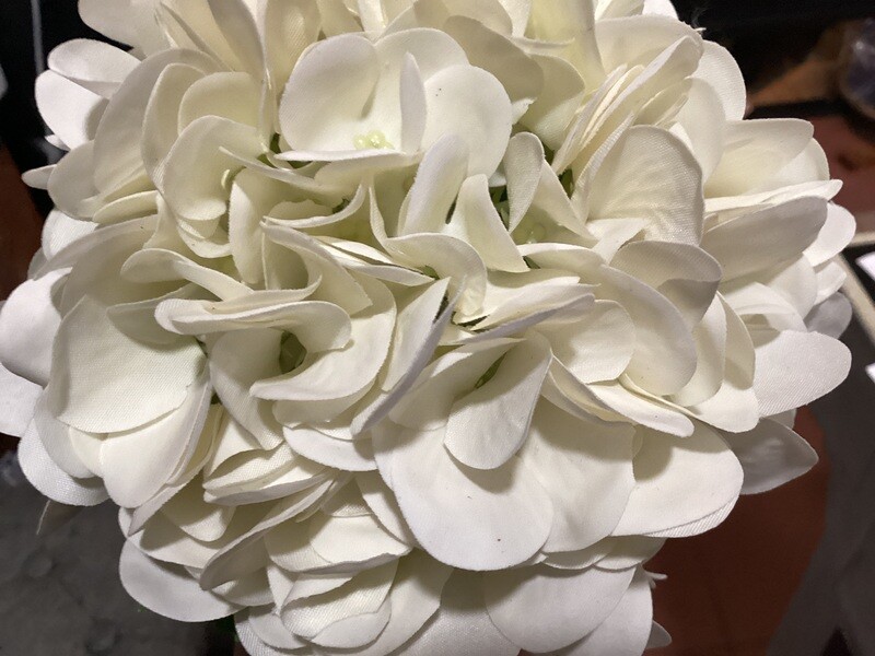 19” Fresh Touch Hydrangea - CR