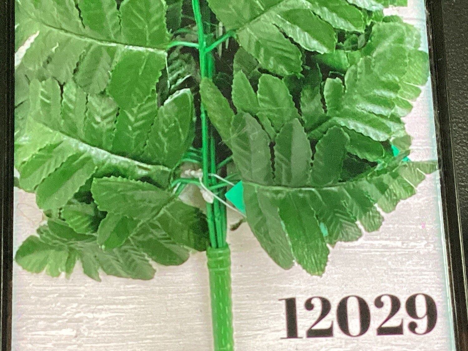 Laser Cut Leather  Fern Bush x12 Dozen Bag