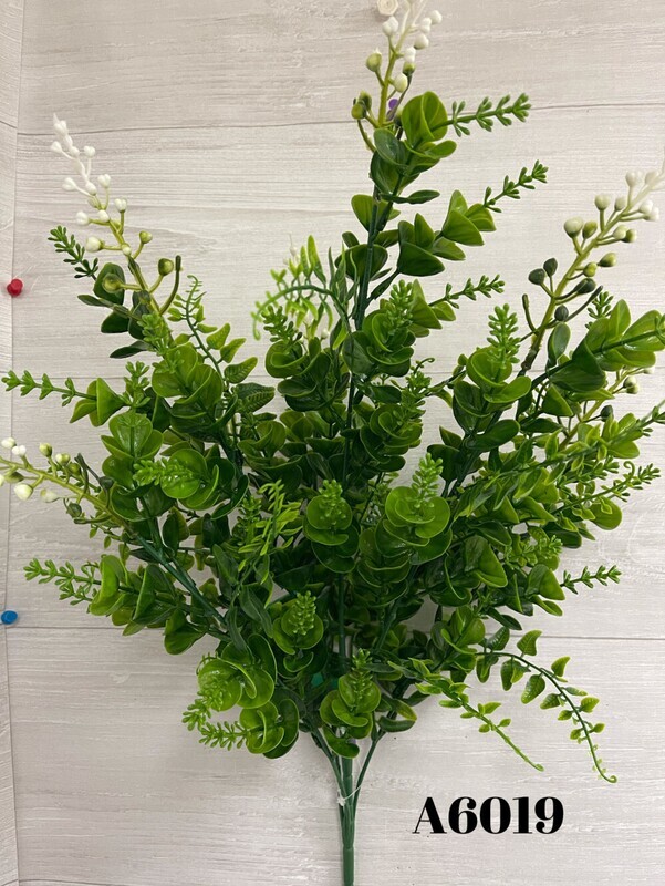 Eucalyptus Boxwood Medium Grass Bush x6