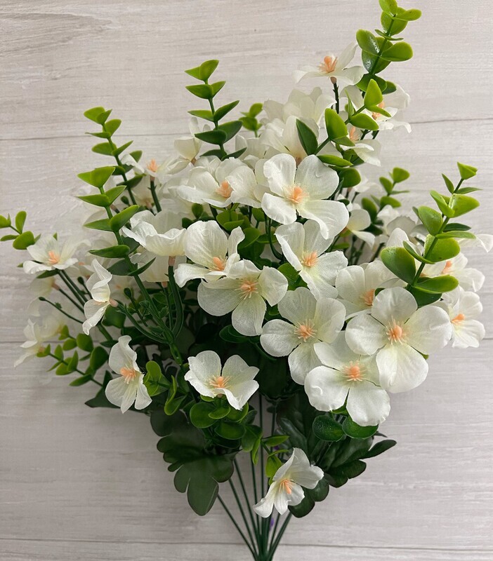 Eucalyptus Bush w/ Flowers x12 CR