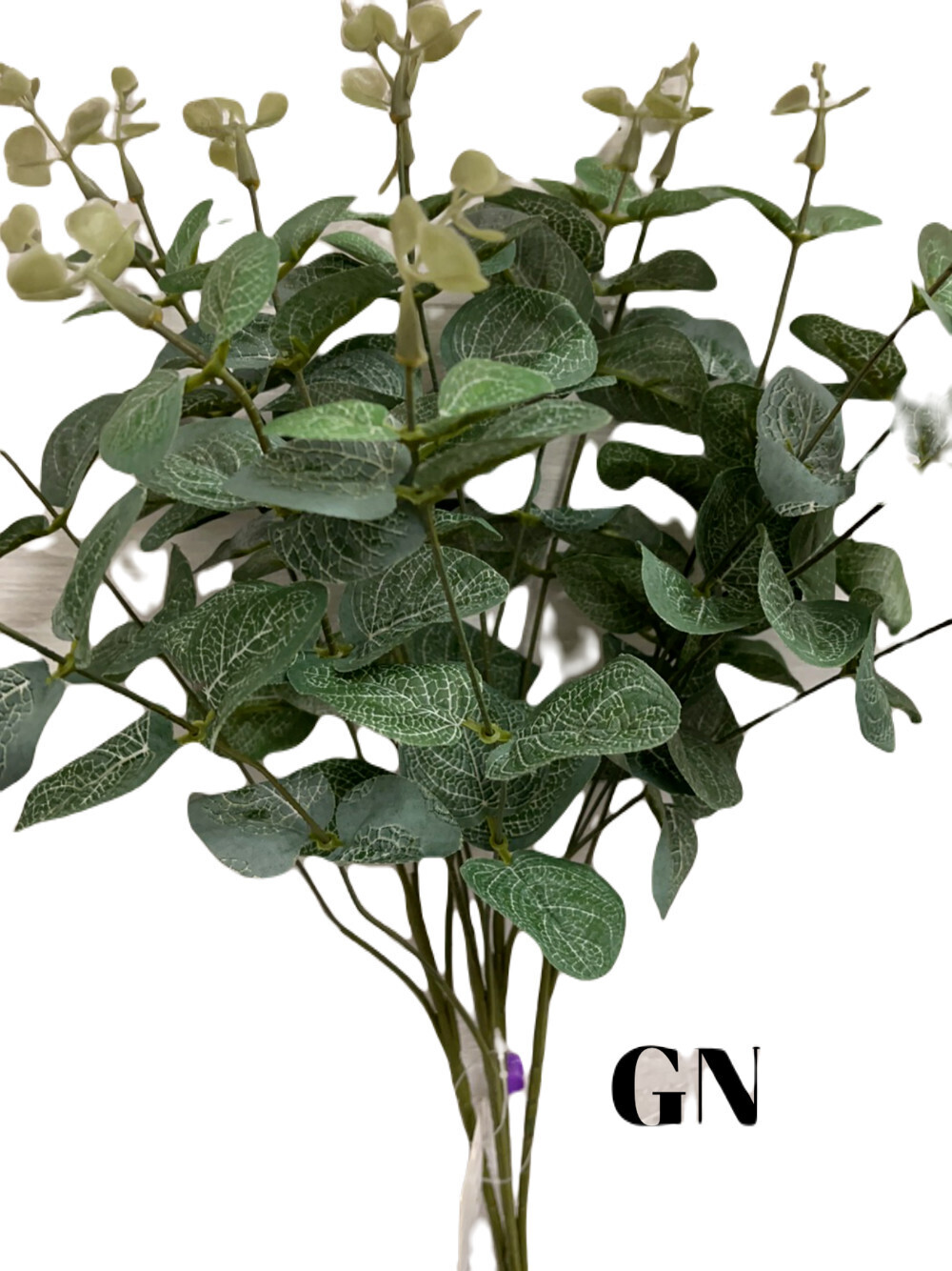 Eucalyptus Bush x16 - GN