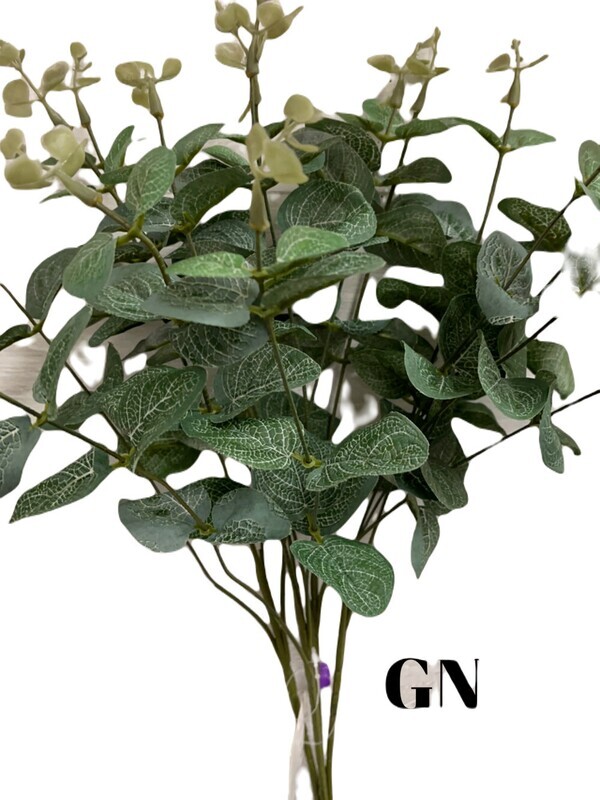 Eucalyptus Bush x16 - GN