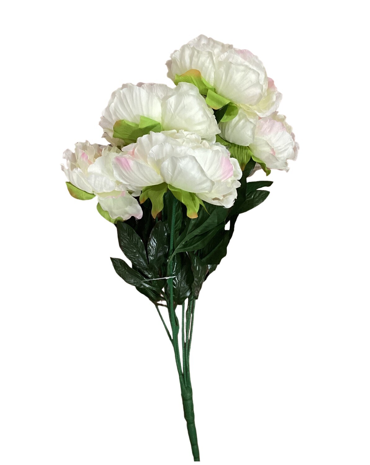 22” PEONY BUSH X7 CREAM