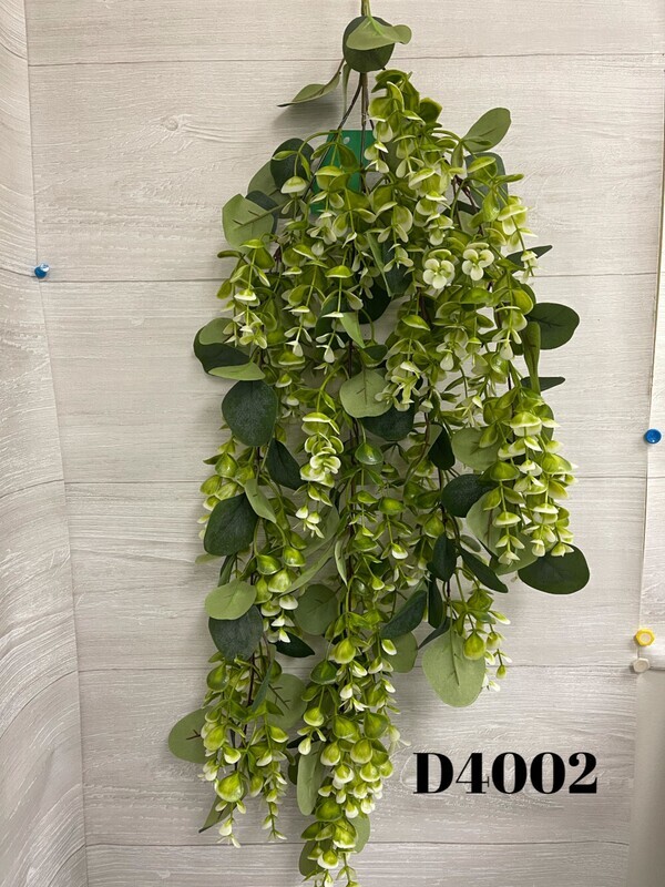Boxwood w/ Eucalyptus Hanging Bush x4