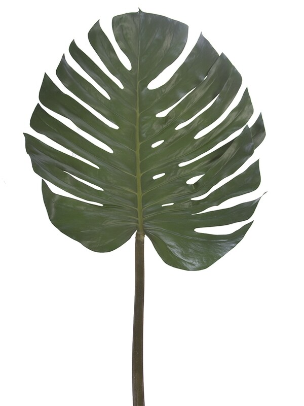 55&quot; MONSTERA LEAF