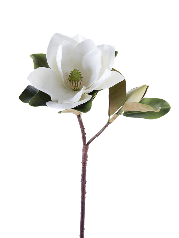 32&quot; MAGNOLIA SPRAY W/BUD WH