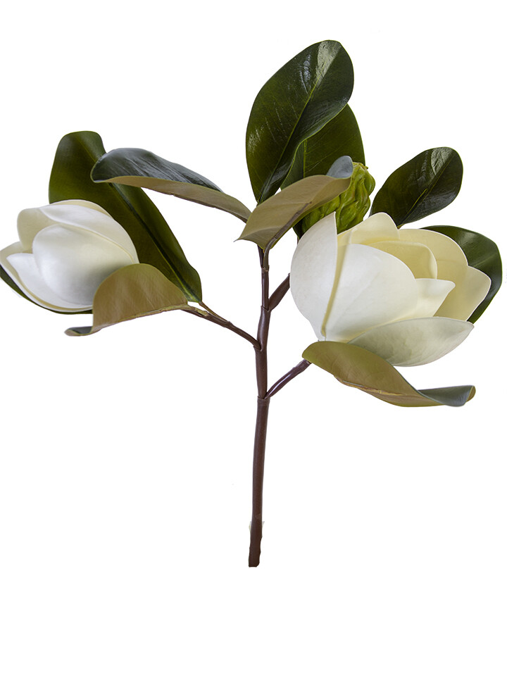 17&quot; MAGNOLIA PICK WHITE