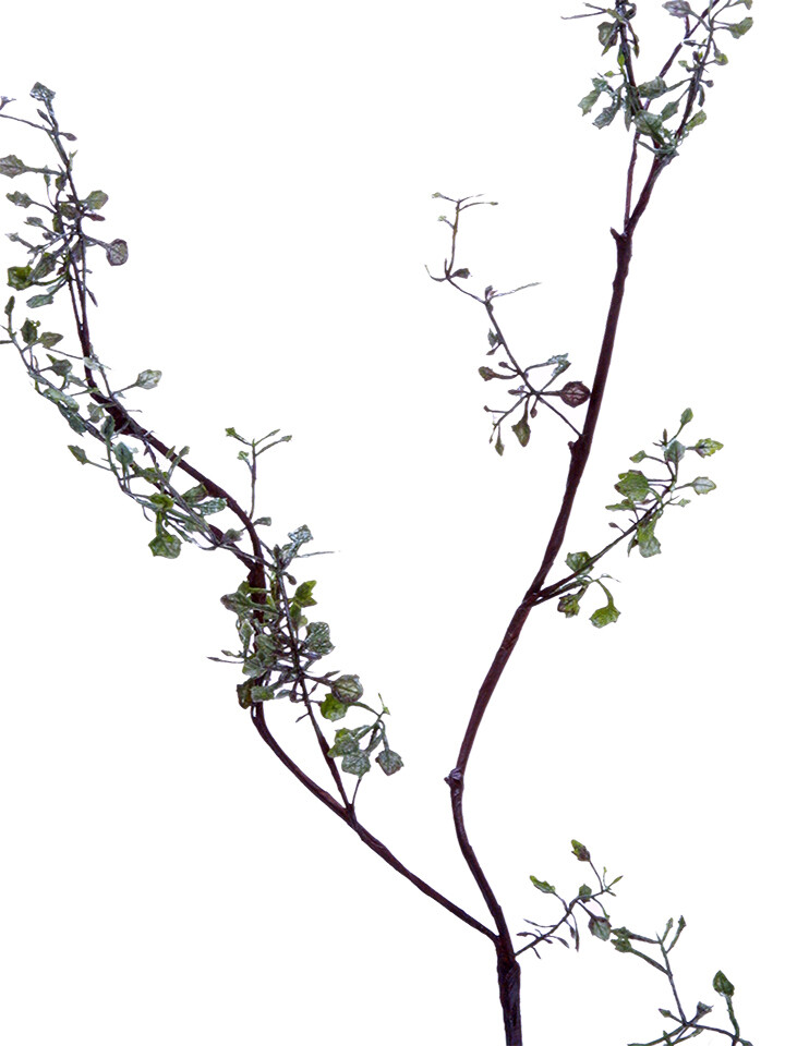 EUROPEAN FERN GARLAND 39&quot;