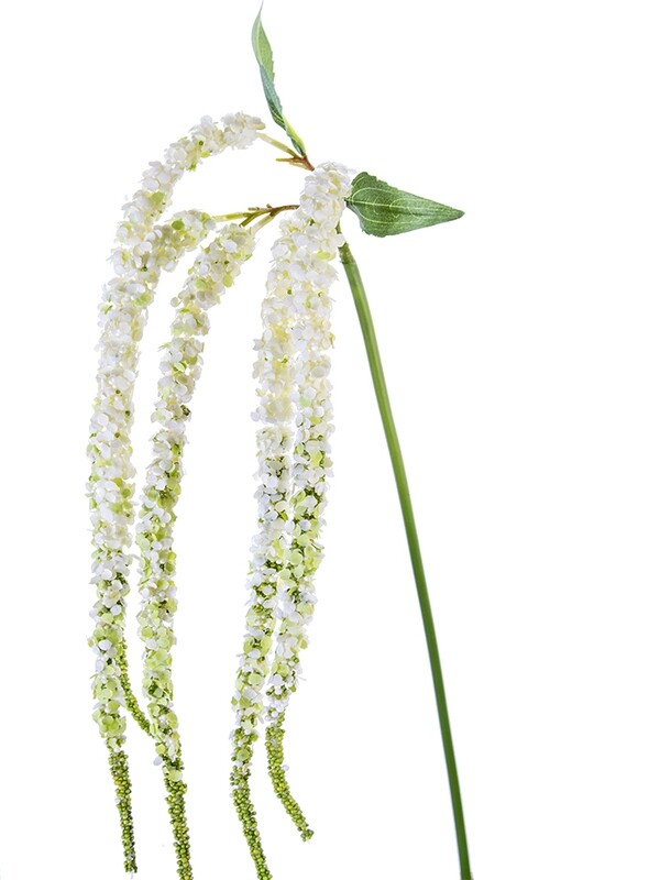 38&quot; Amaranthus Spray x5 CR