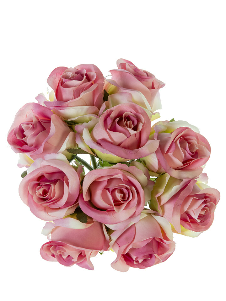 11 inch standard rose BundleX 10 MV