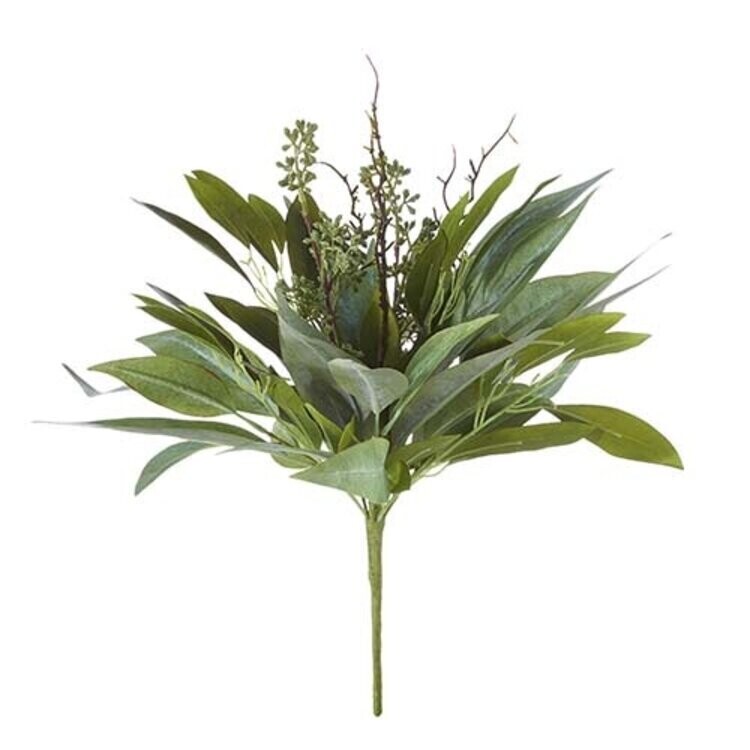 Willow Eucalyptus Bush