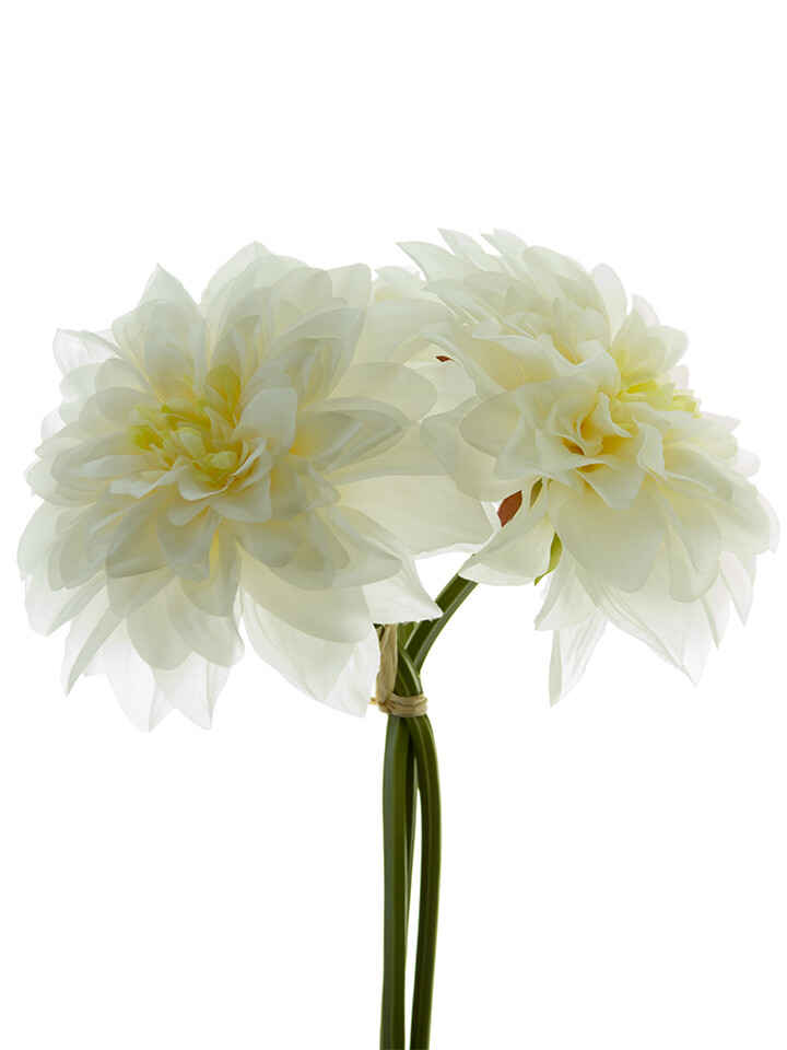 Dahlia Bundle - WHITE