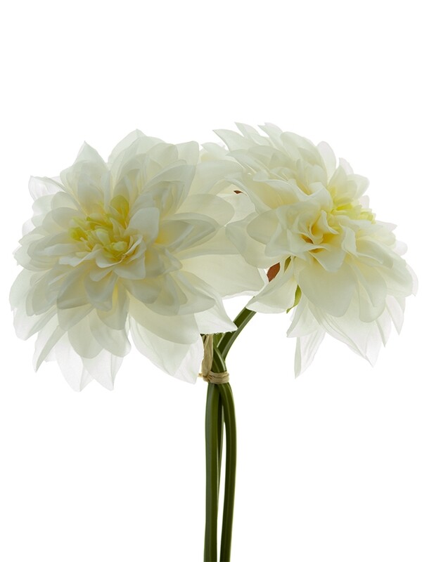 Dahlia Bundle - WHITE