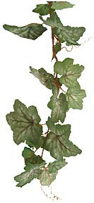 6’ GERANIUM GARLAND