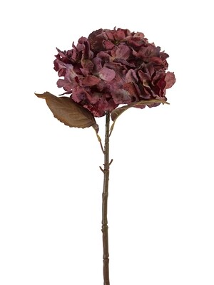 25” Dried Hydrangea Spray - BG