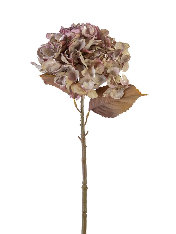 25” Dried Hydrangea Spray - PS