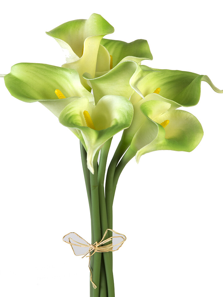 12&quot; CALLA LILY STEM X7 - GREEN