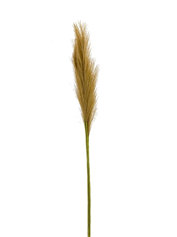30” Pampas Grass