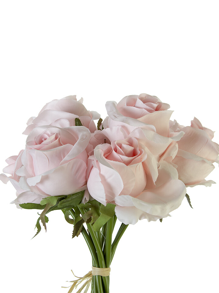 11 inch standard rose BundleX 10 PK