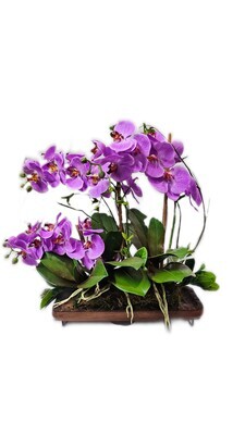 Custom Orchid Centerpiece