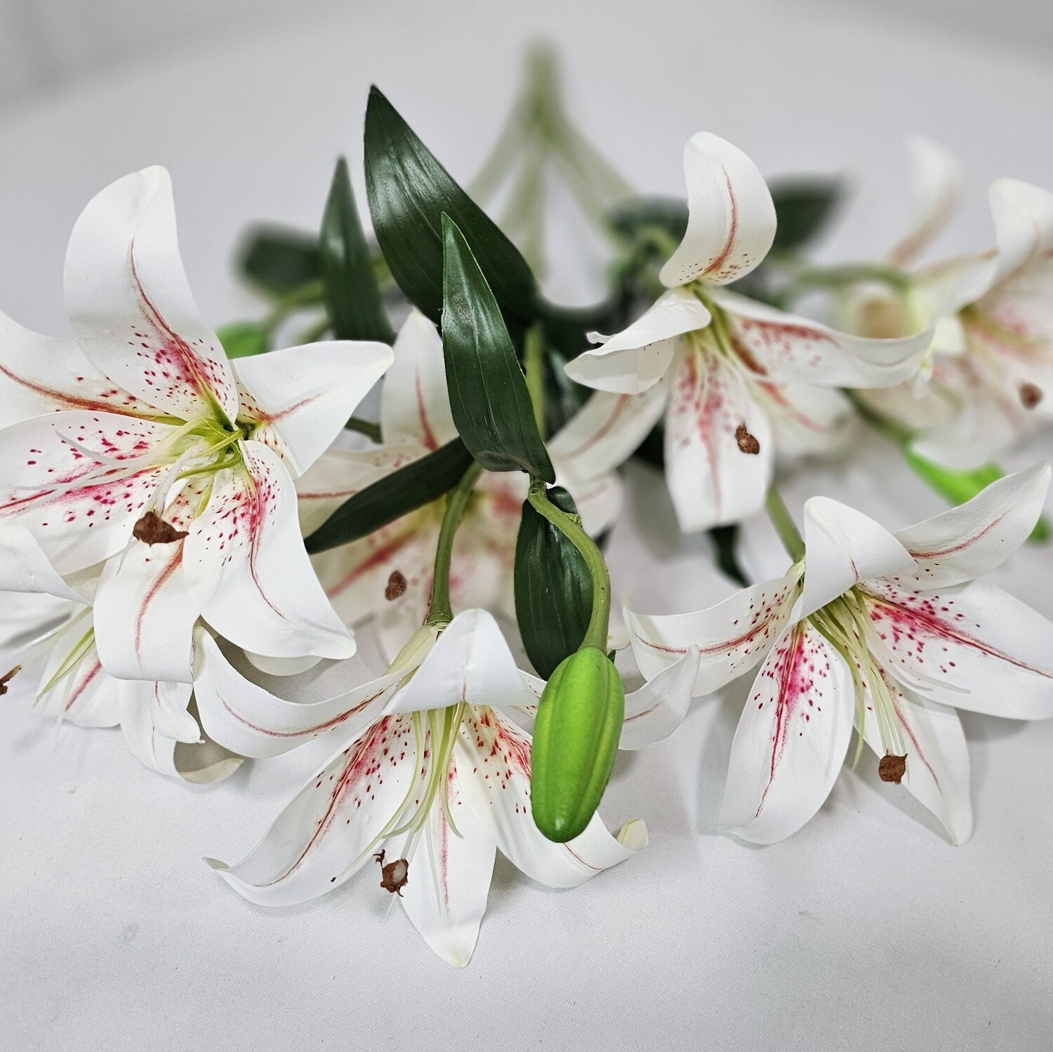 Lily Bush x9 CR PK