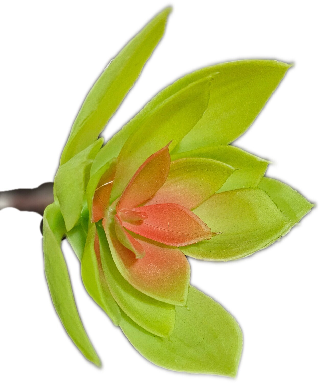 Succulent Aloe Pick