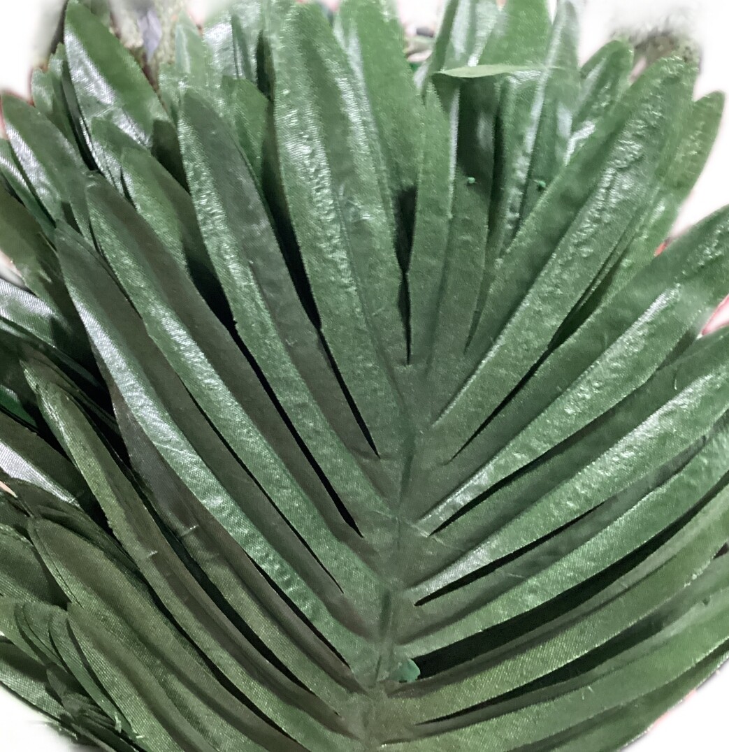 Palm Bush x12 - SINGLE