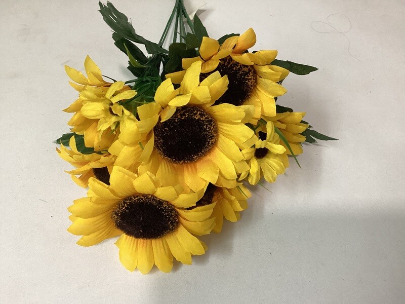 Sunflower bush x10