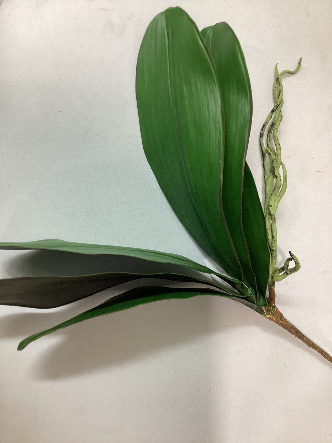 ORCHID BUTTERFLY LEAF 21in